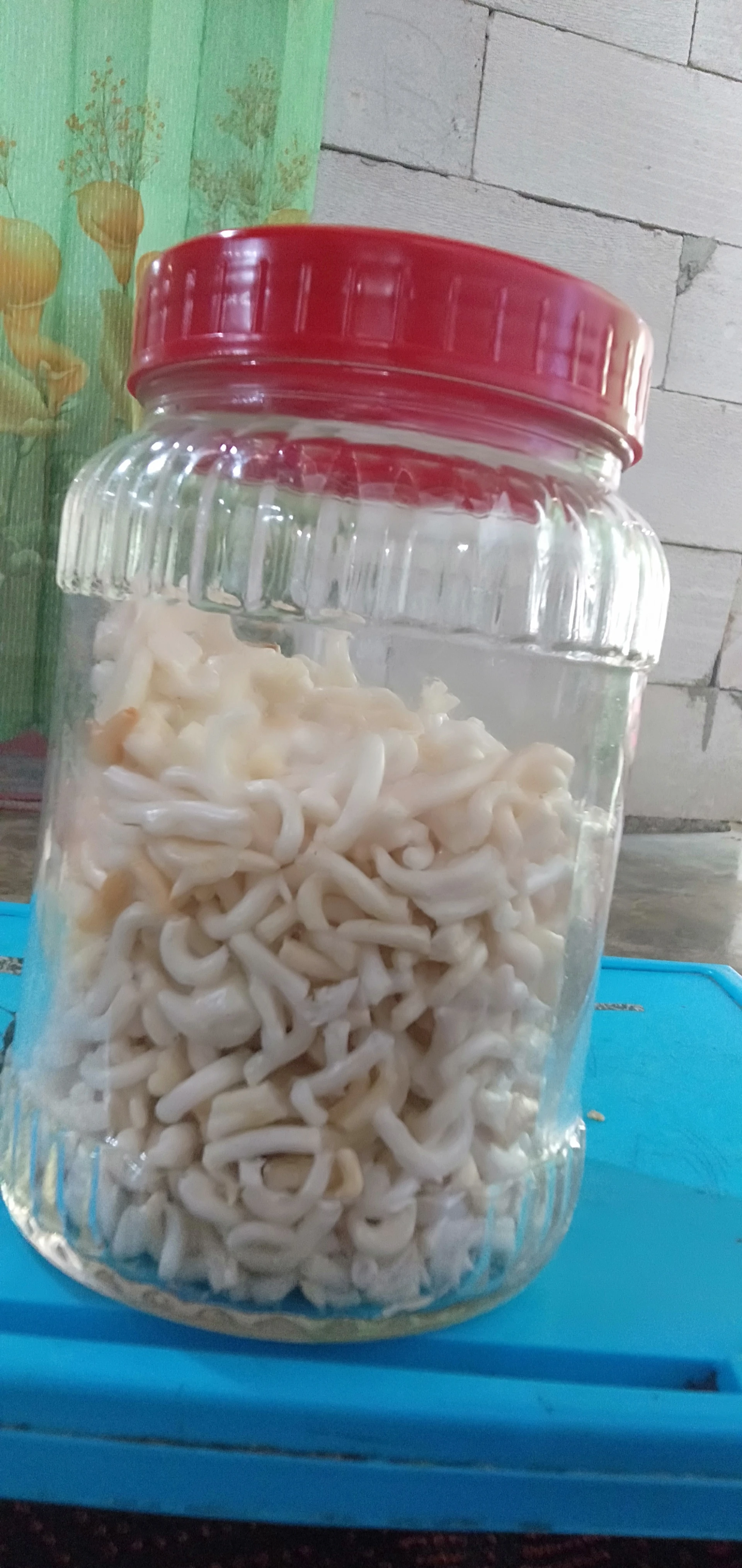 Gorengan
