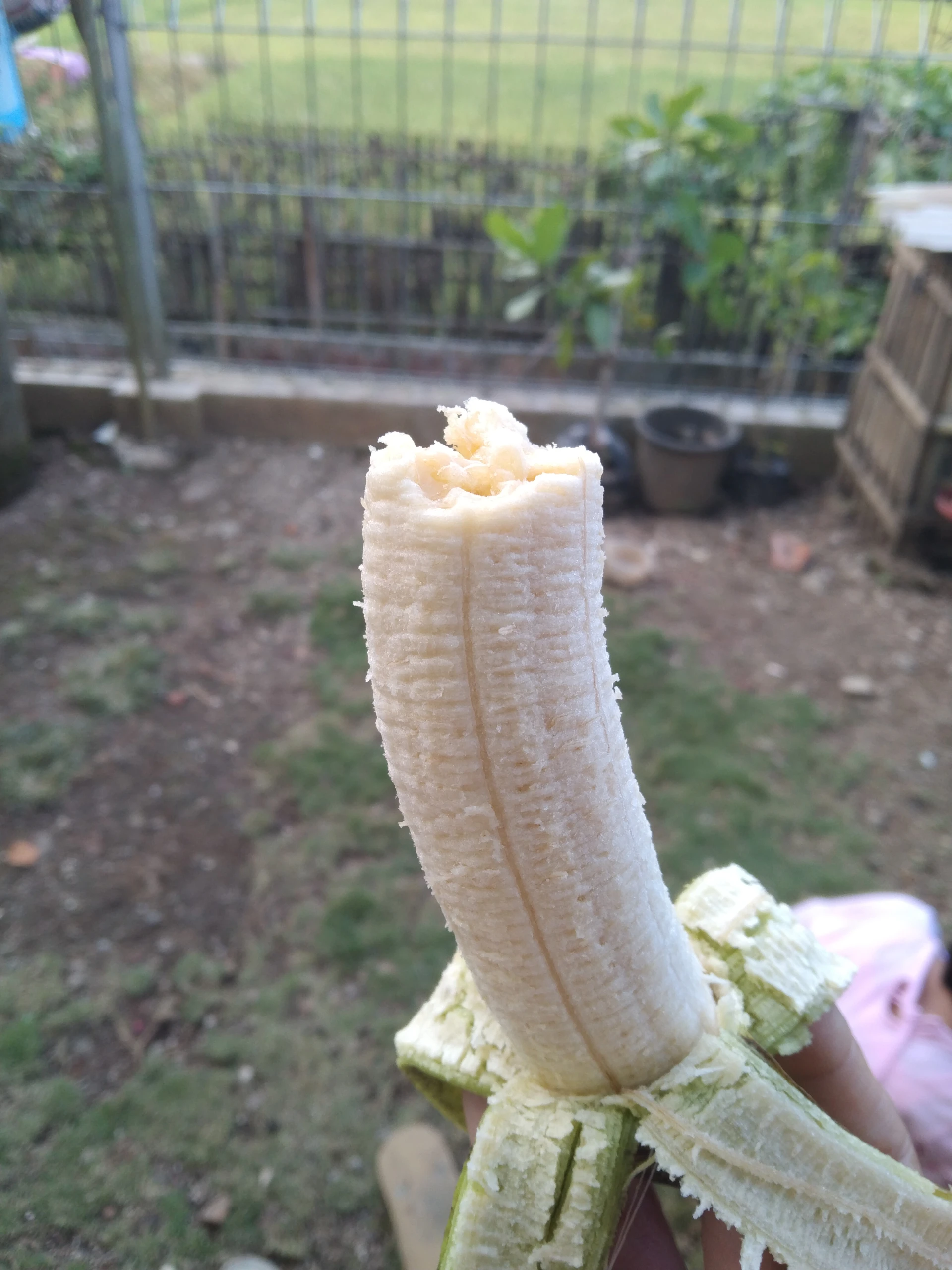 Hidup Lebih Sehat dengan Ngemil Buah