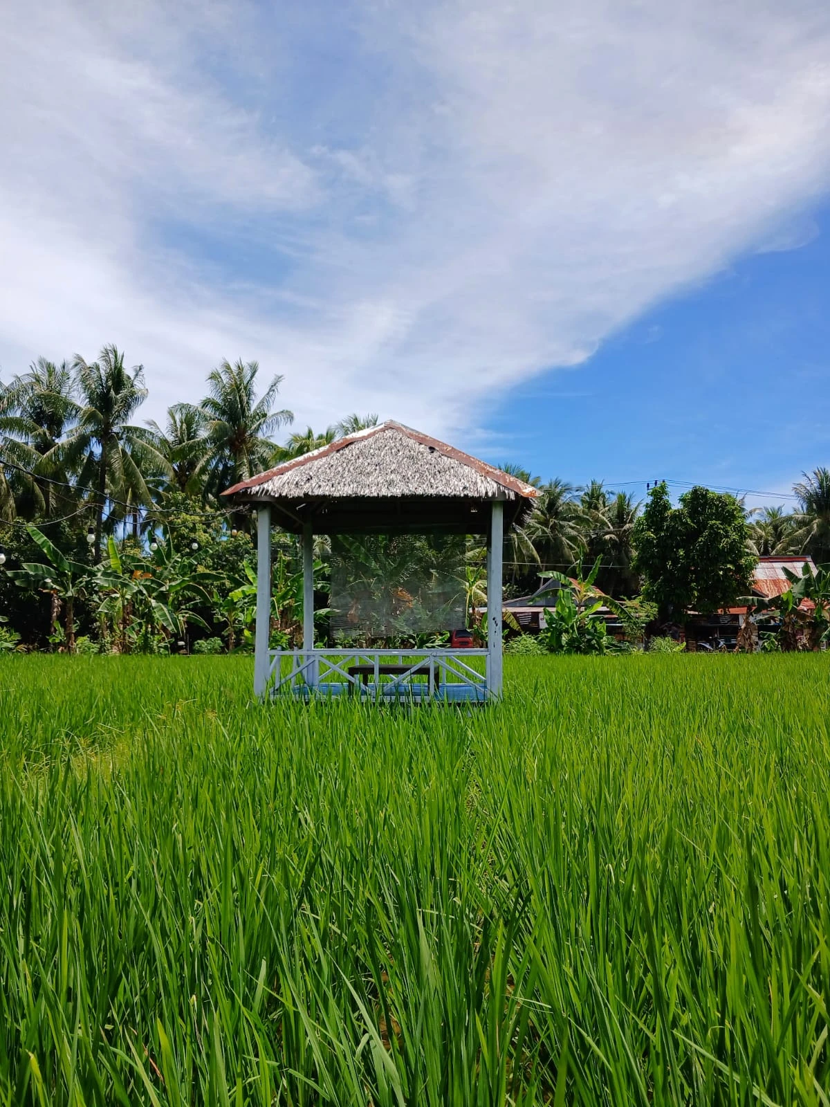 #HidupLebihSehat Setelah Lebaran, Day 4 : Refreshing