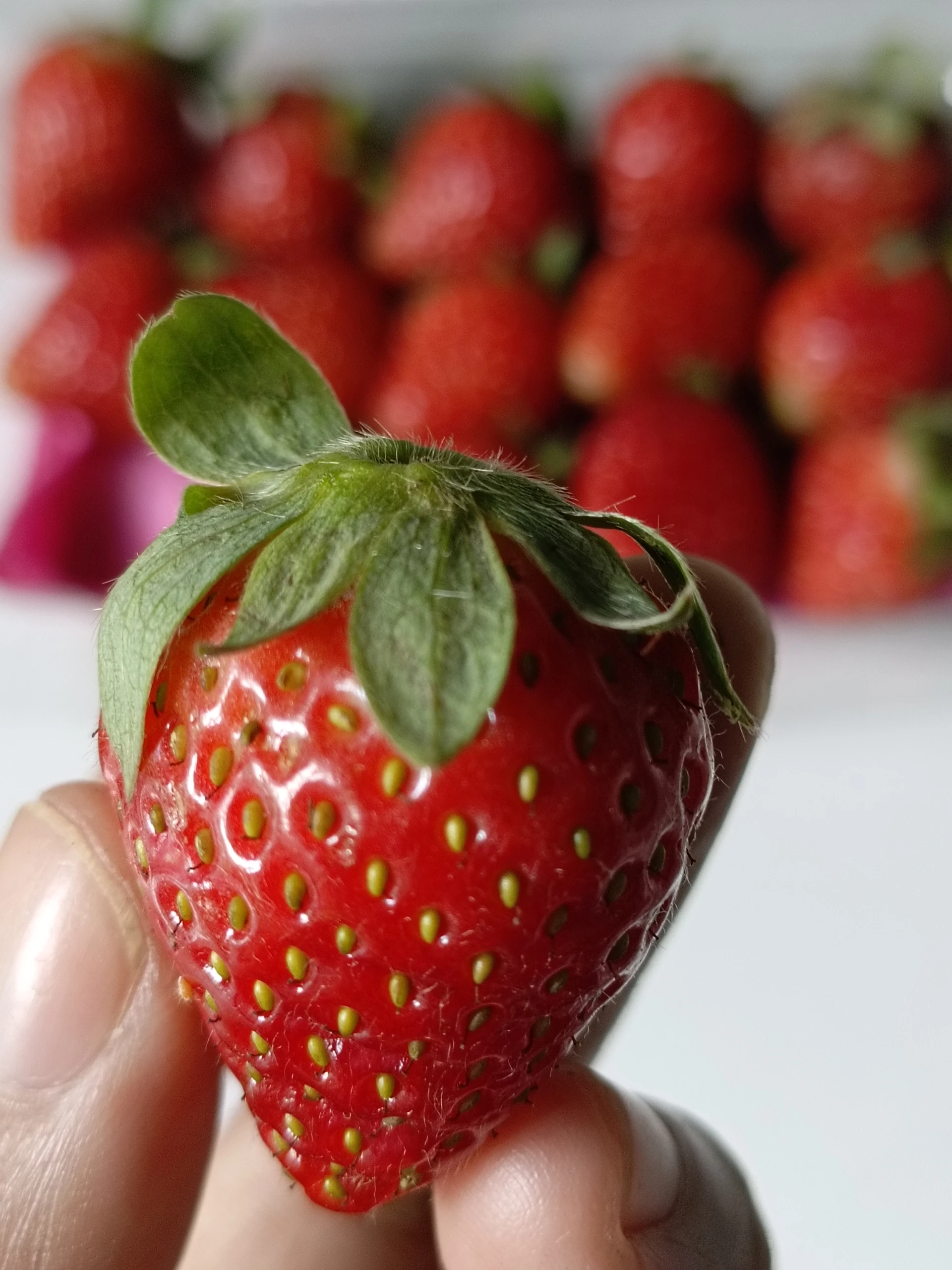 #HidupLebihSehat Setelah Lebaran Konsumsi Buah Setiap Hari