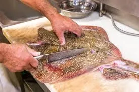 ikan pari