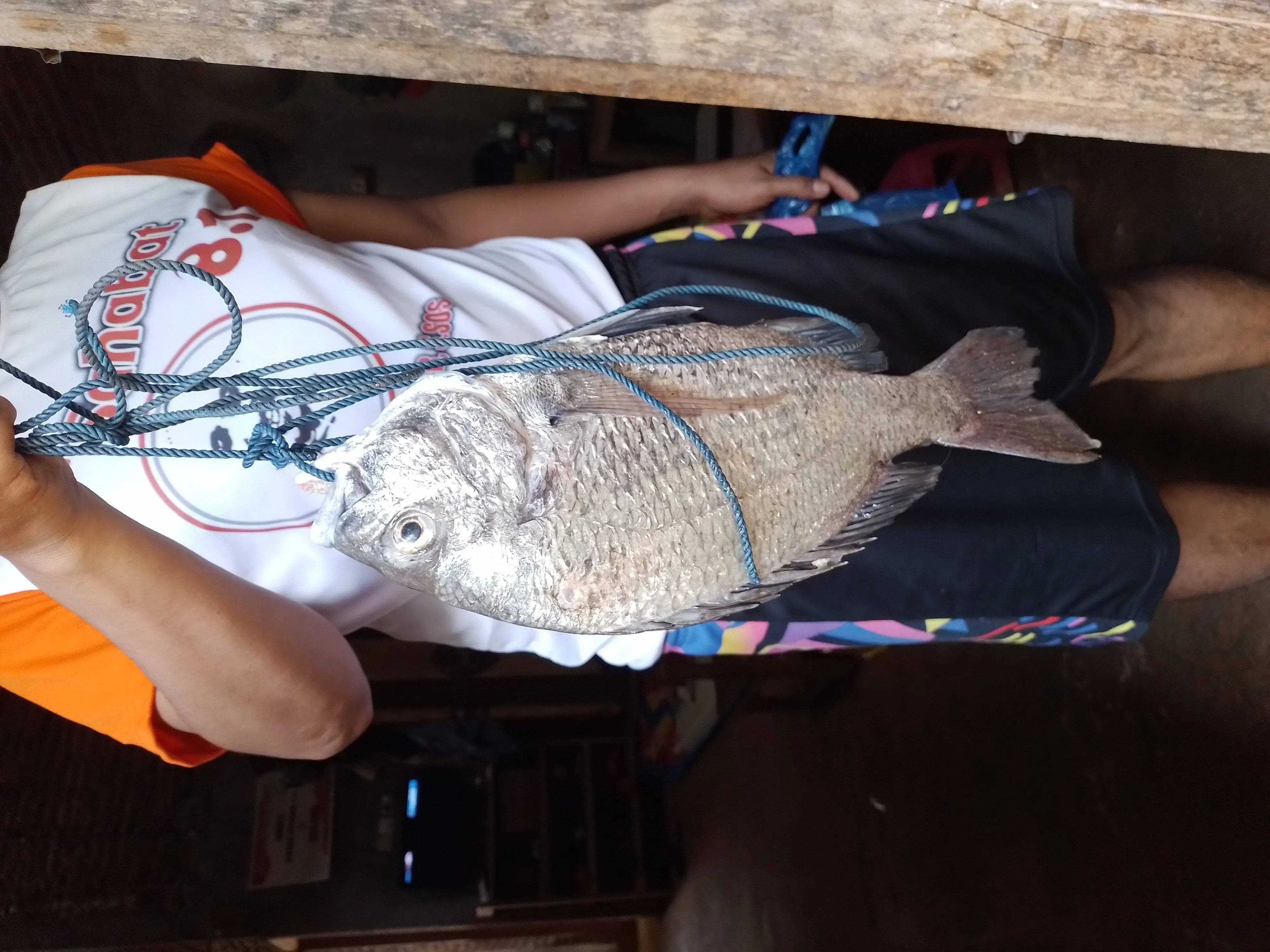 Ikan segar