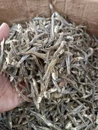 ikan teri