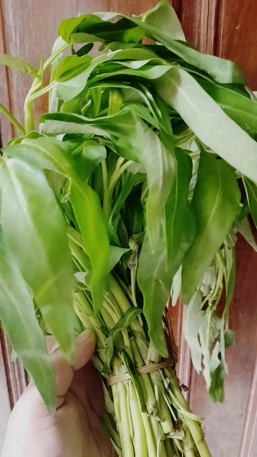 Informasi dan manfaat Kangkung