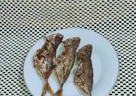 ini ikan apa