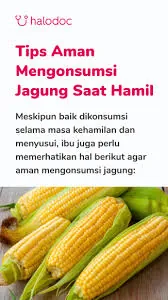Jagung manis
