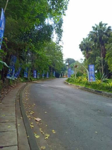 Langkah Kecil Untuk Hidup Sehat.