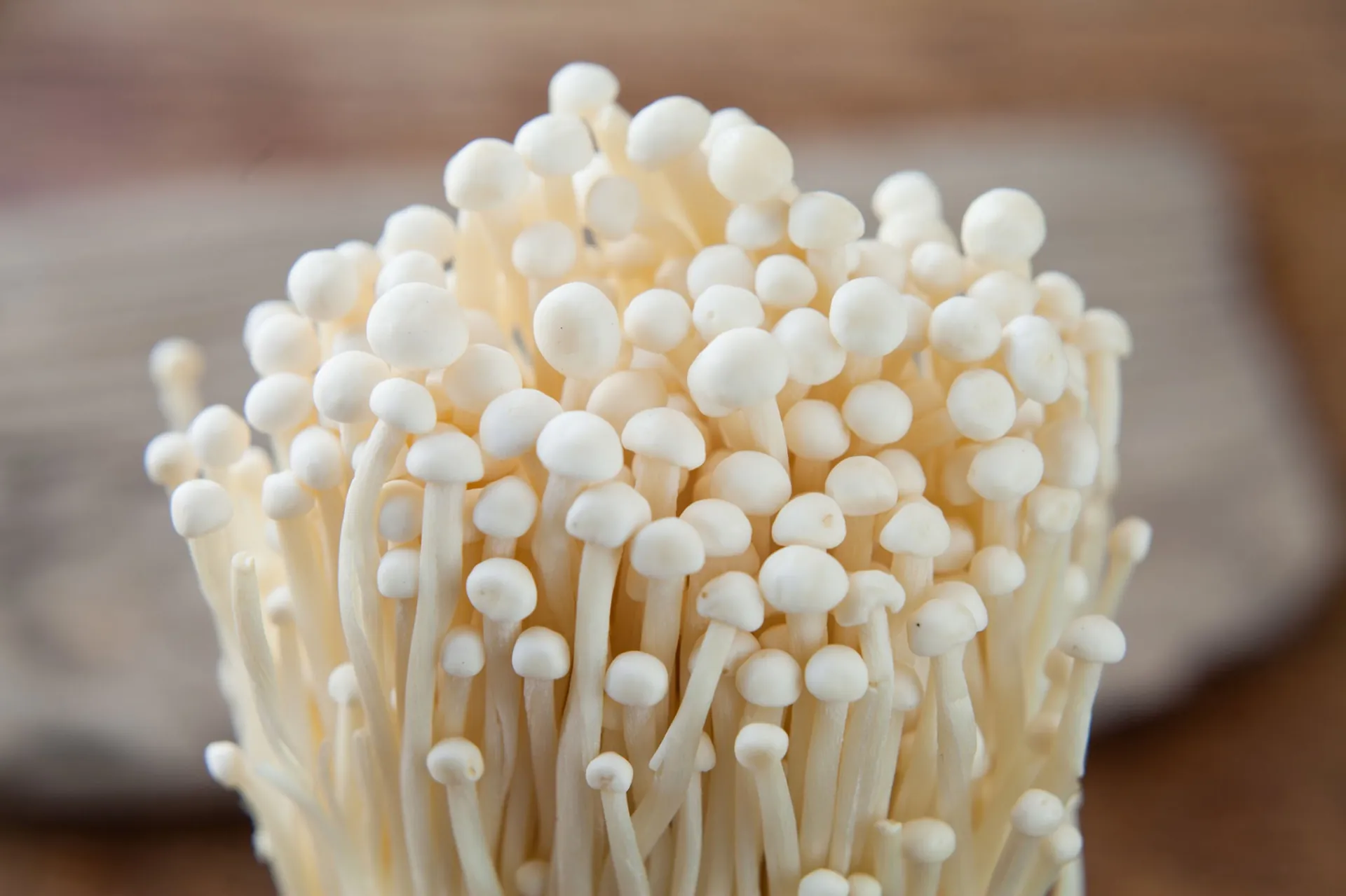 Jamur Enoki