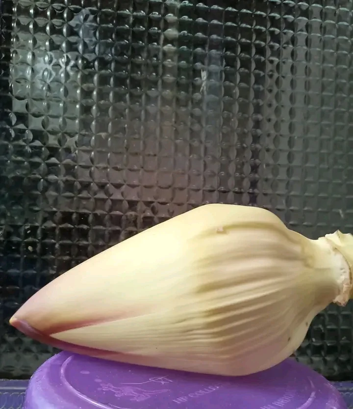 jantung pisang