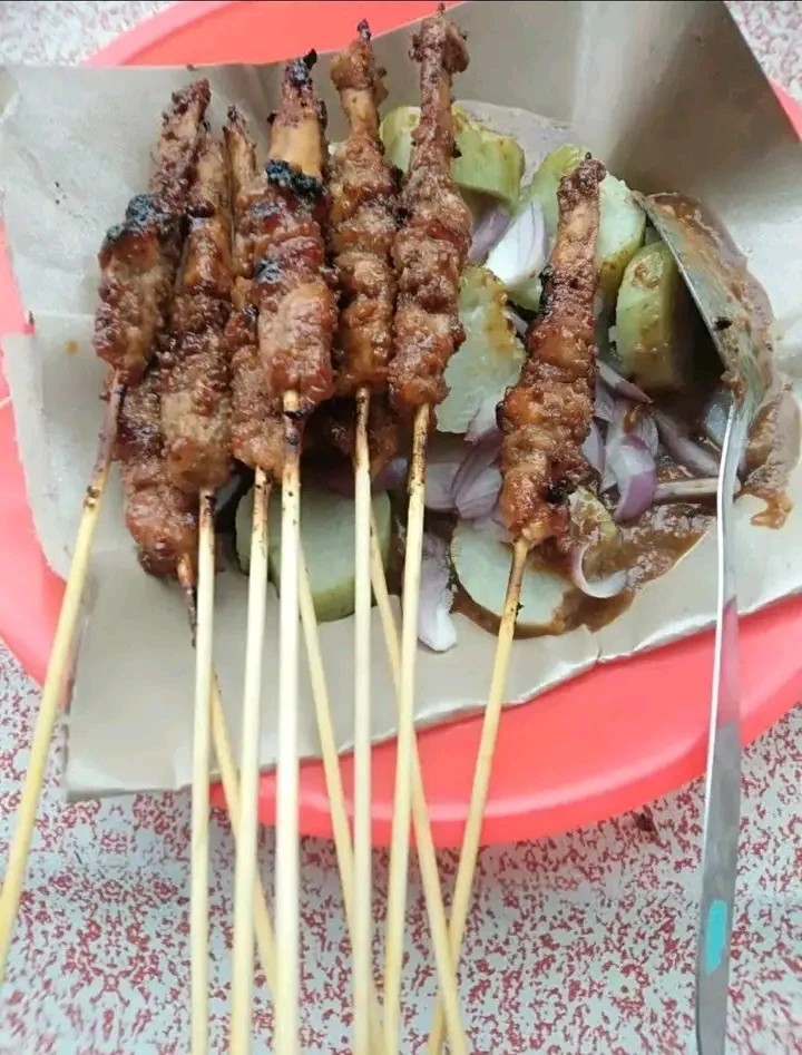 Jenis sate diindonesia