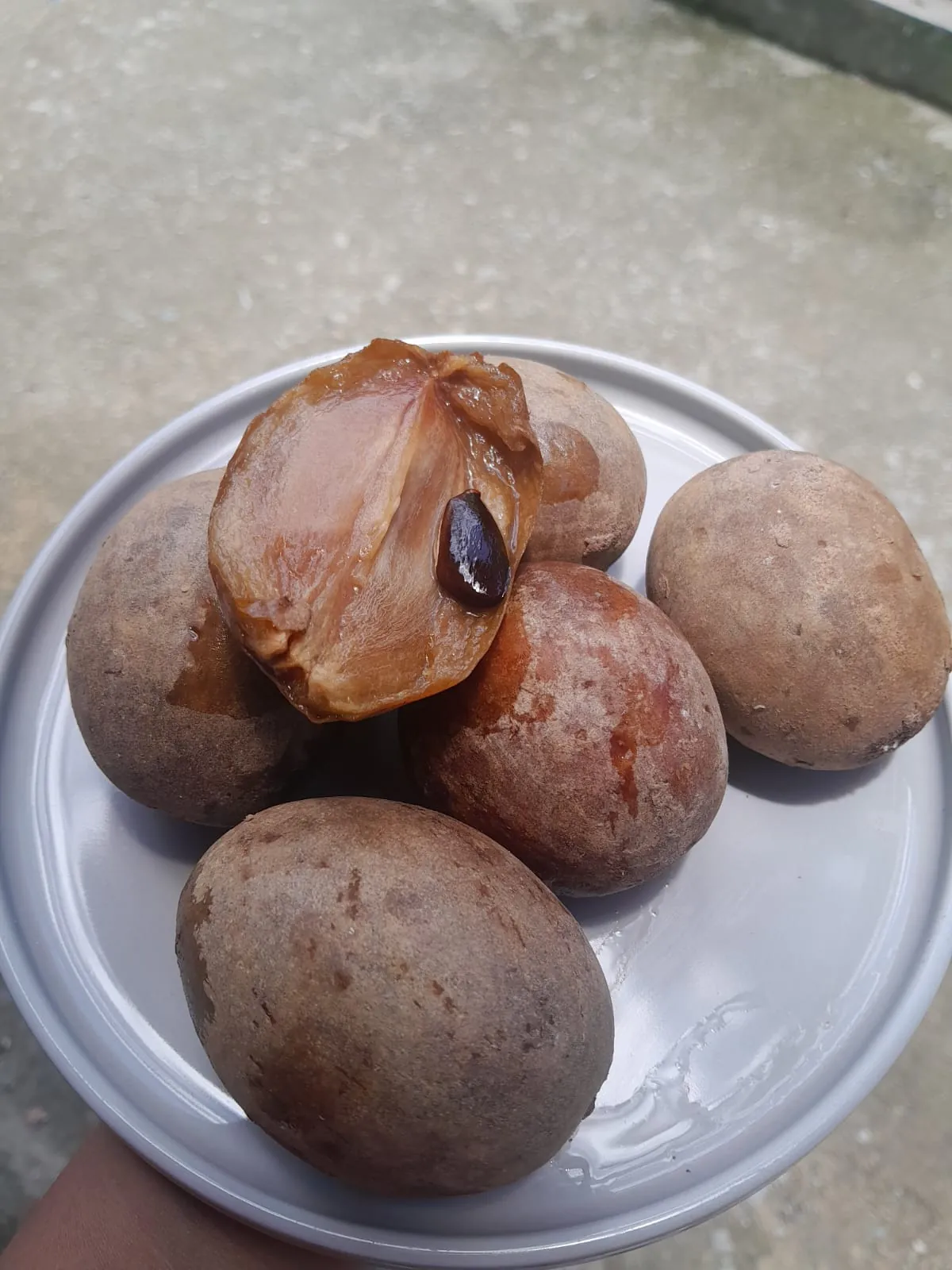 #JURNALRAMADHAN 8 BUAH SAWO