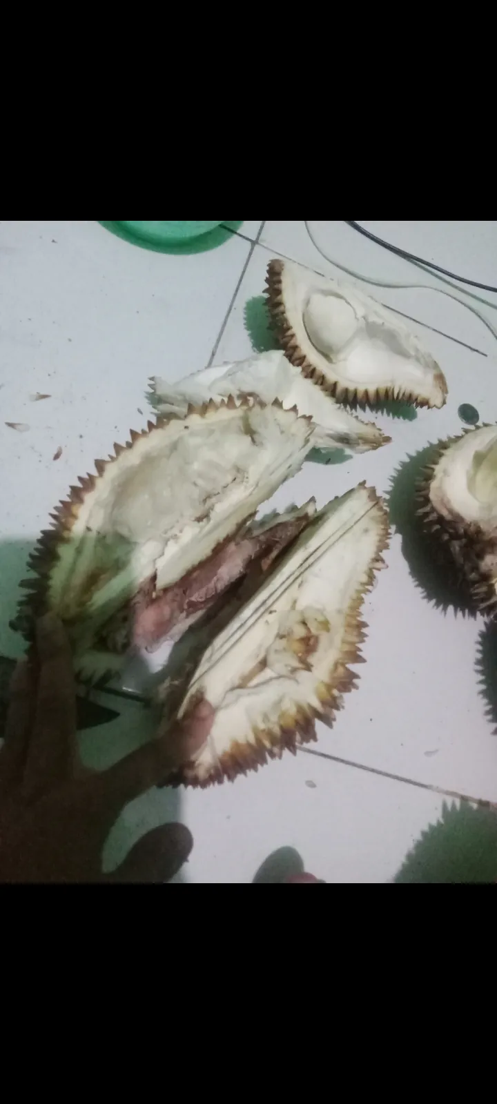 Jurnal ramadan berburu durian untuk membuat es