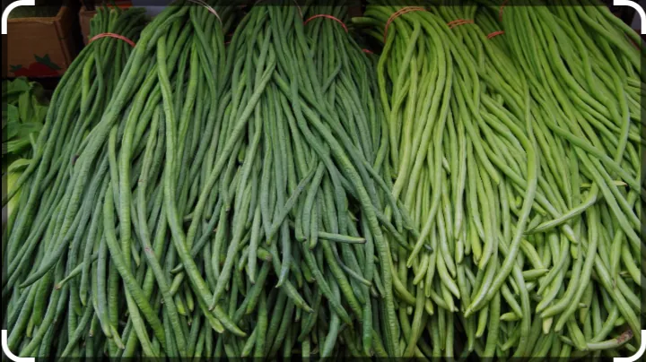 Kacang panjang