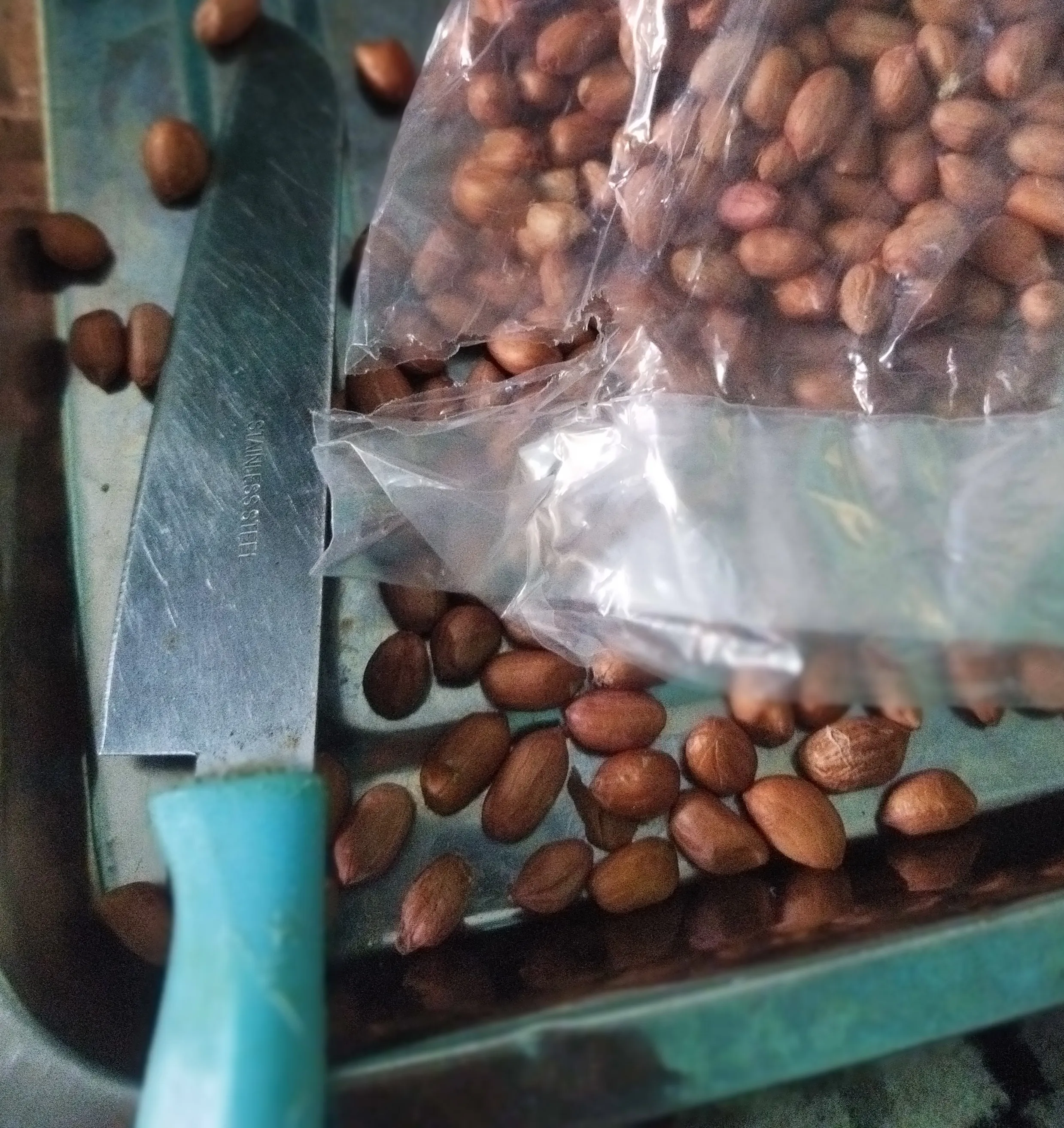 Kacang untuk peyek