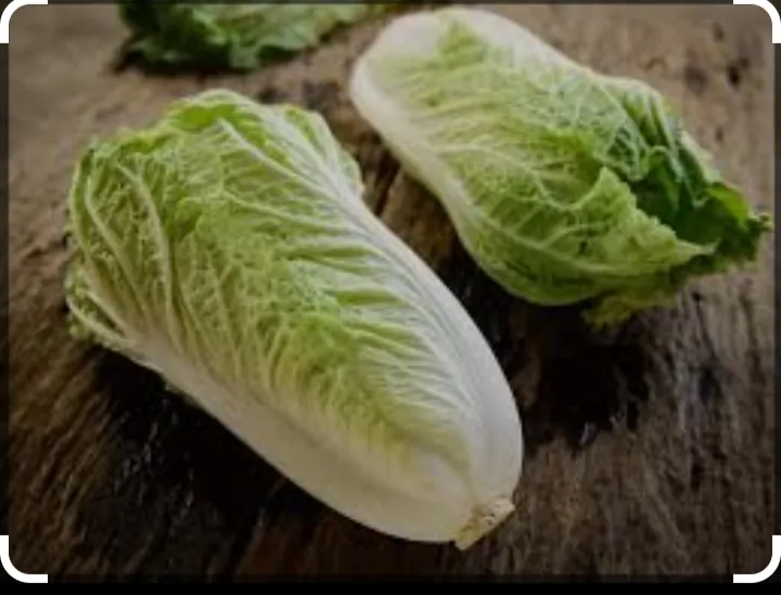 Kandungan nutrisi sawi putih
