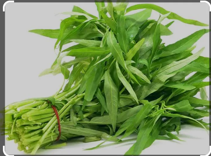 Kangkung
