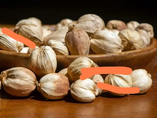 Kapulaga rempah yang berkhasiat