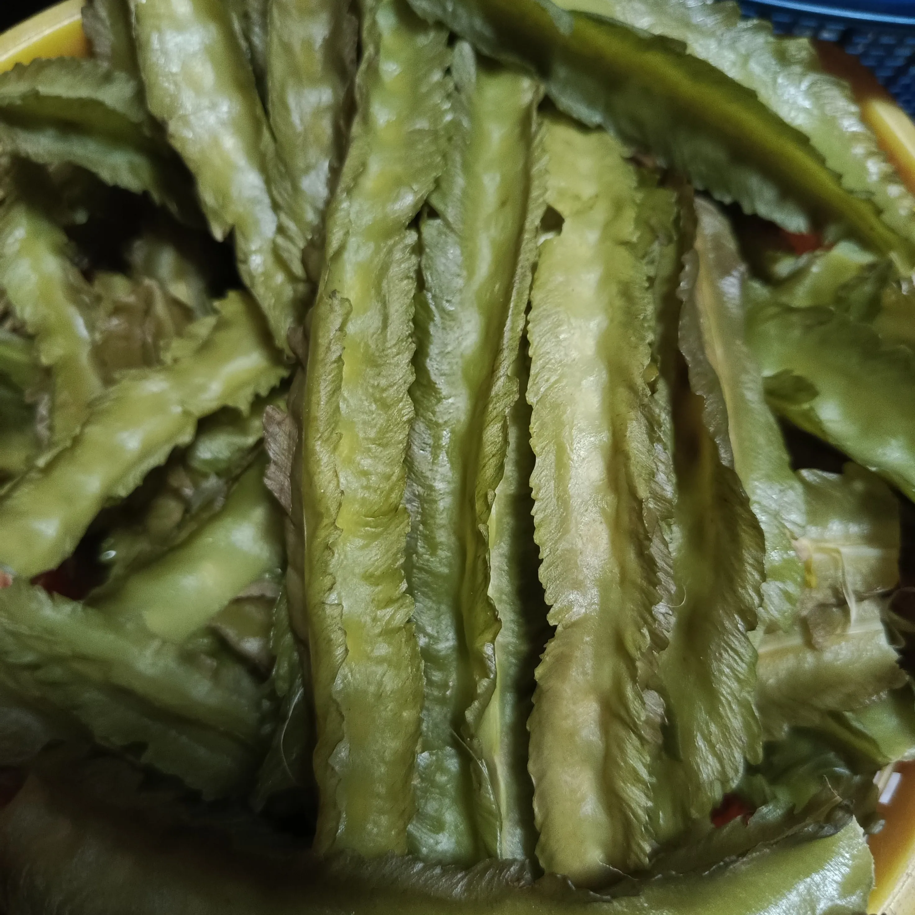 KECIPIR