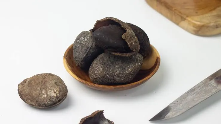 Kluwek bumbu masak unik