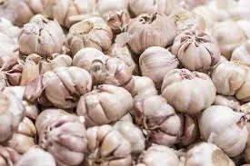 Manfaat Bawang Putih bagi Masakan dan Kesehatan