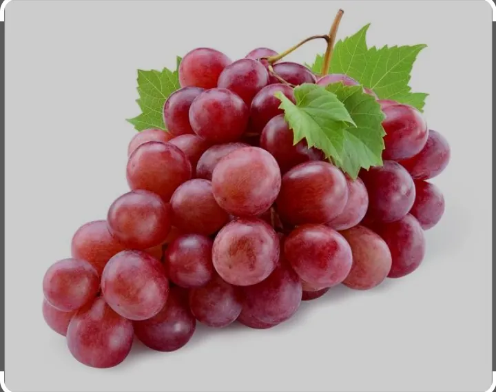 Manfaat buah Anggur