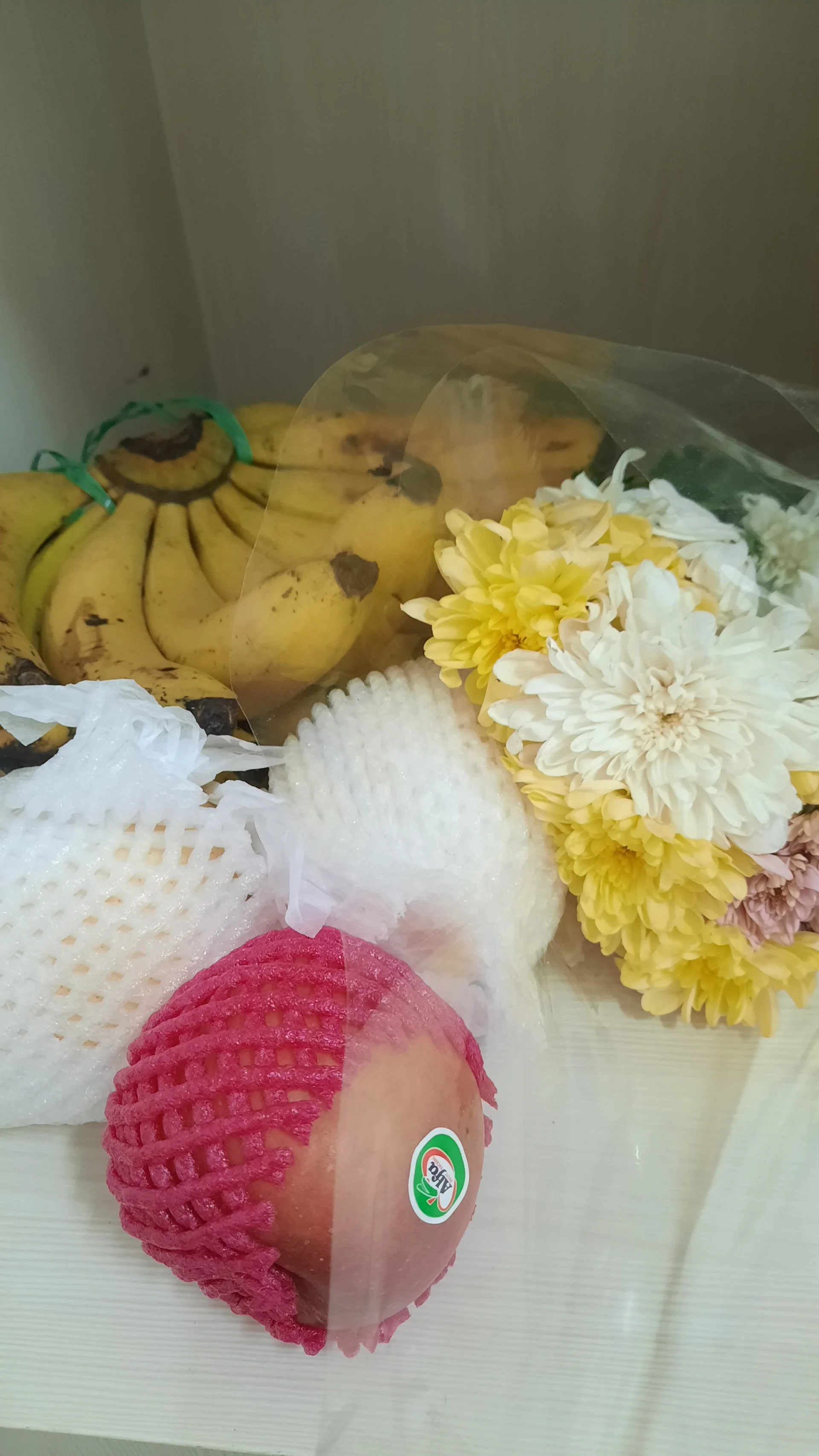Manfaat buah bagi tubuh kita