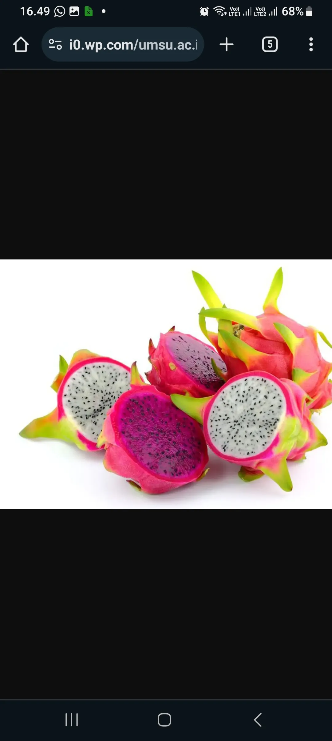 Manfaat buah naga bagi wanita