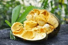 Manfaat Cempedak
