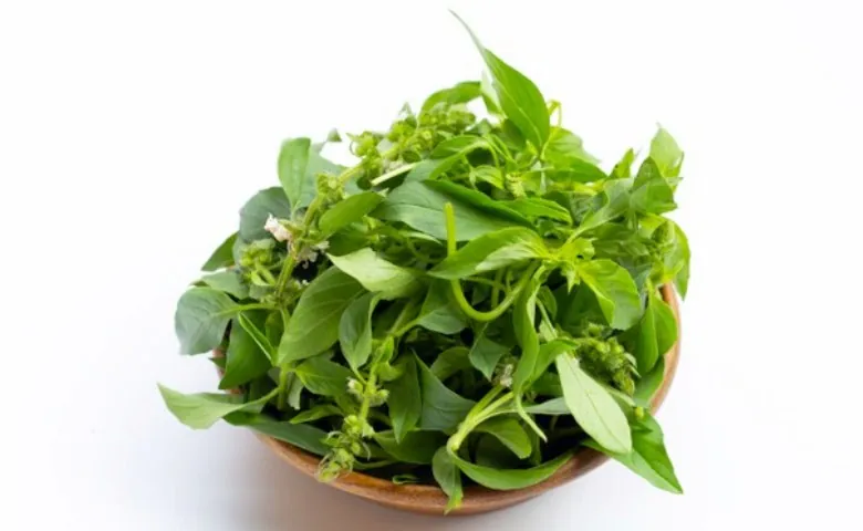 Manfaat daun kemangi