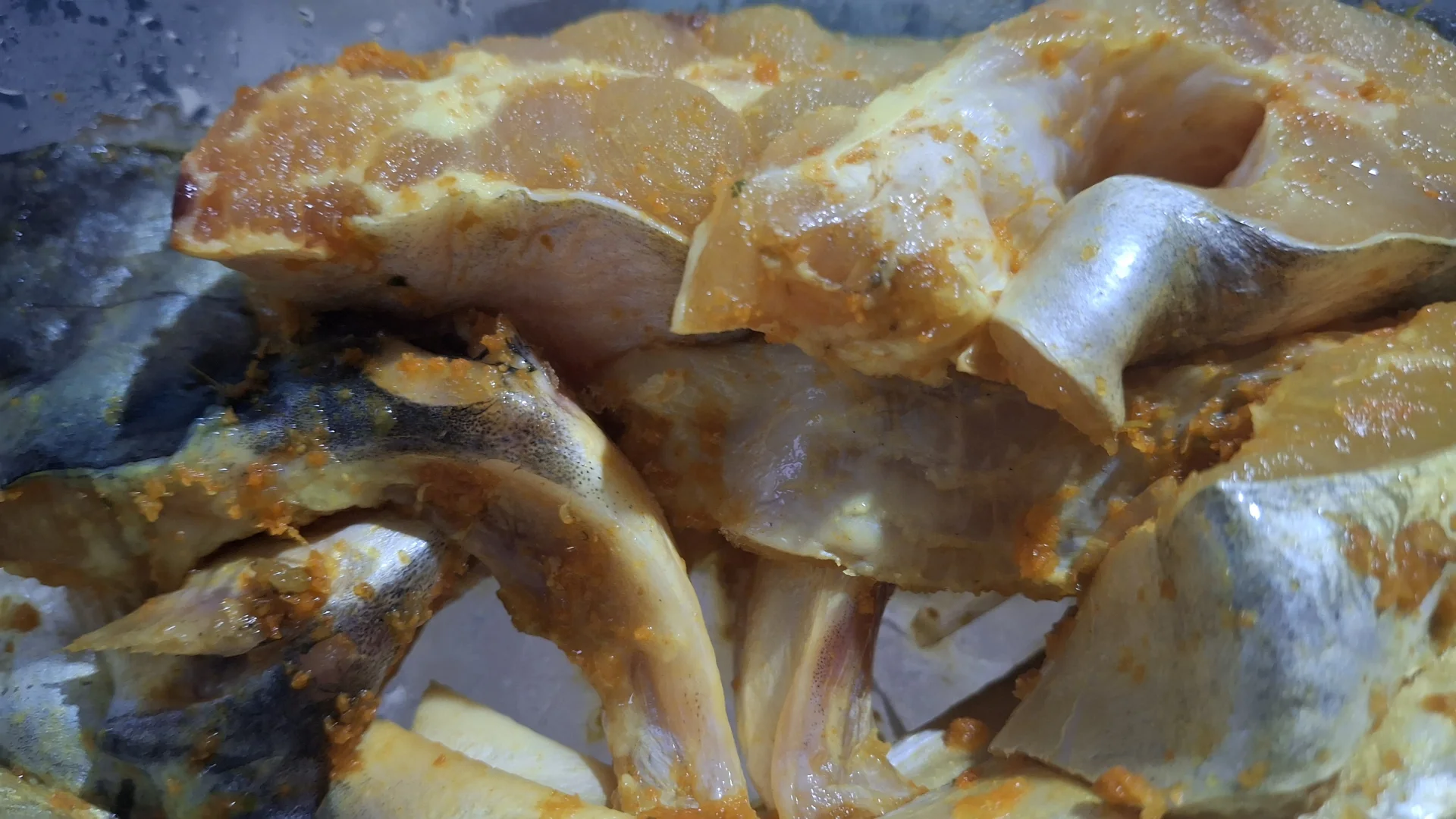 Manfaat ikan patin