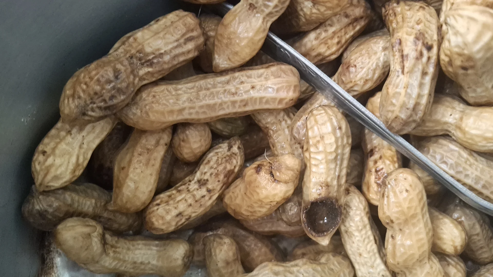 Manfaat kacang rebus