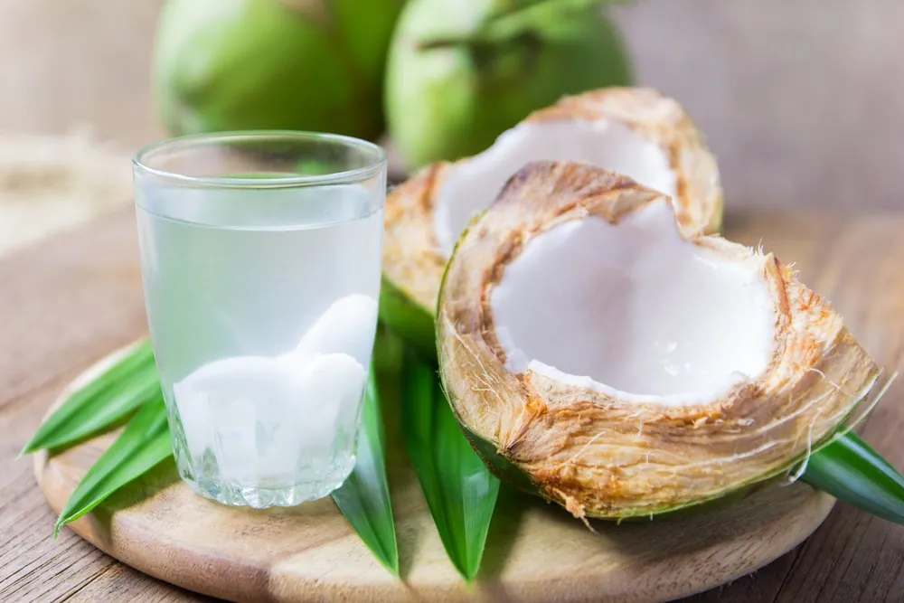Manfaat kelapa muda