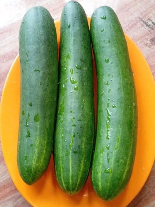 Manfaat timun