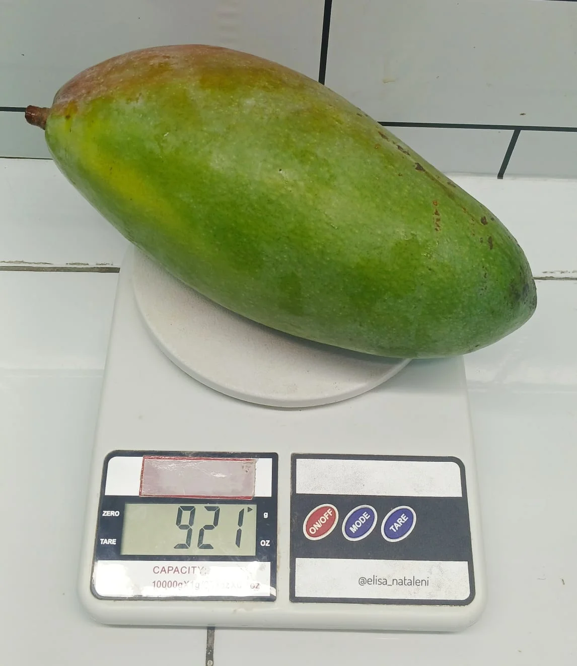 Mangga Kiojay Tetangga