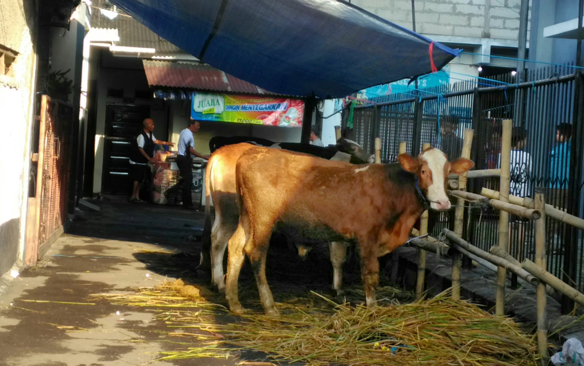 Memperkuat Kepekaan Sosial Melalui Ibadah Kurban