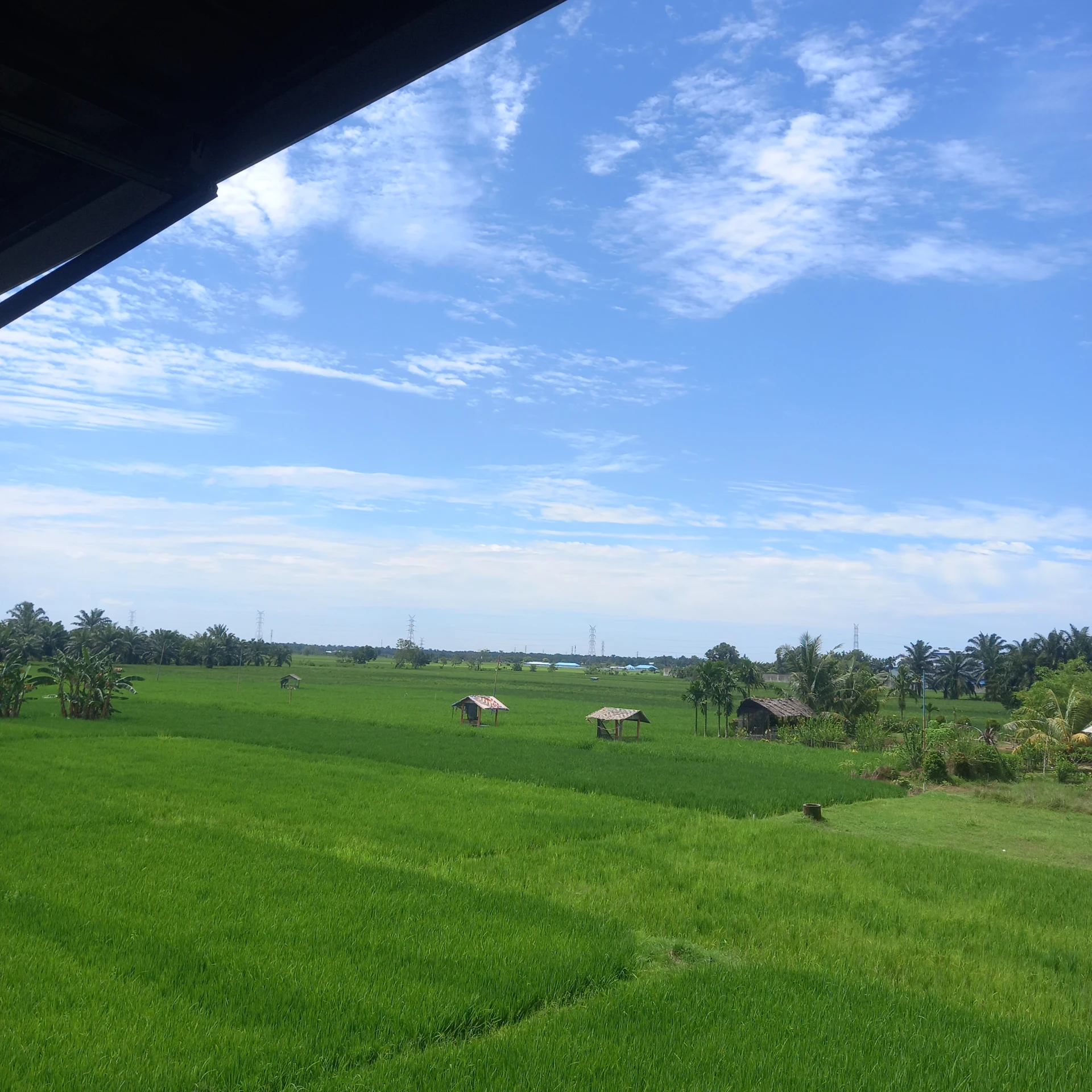 Menikmati persawahan #CeritaHariIni