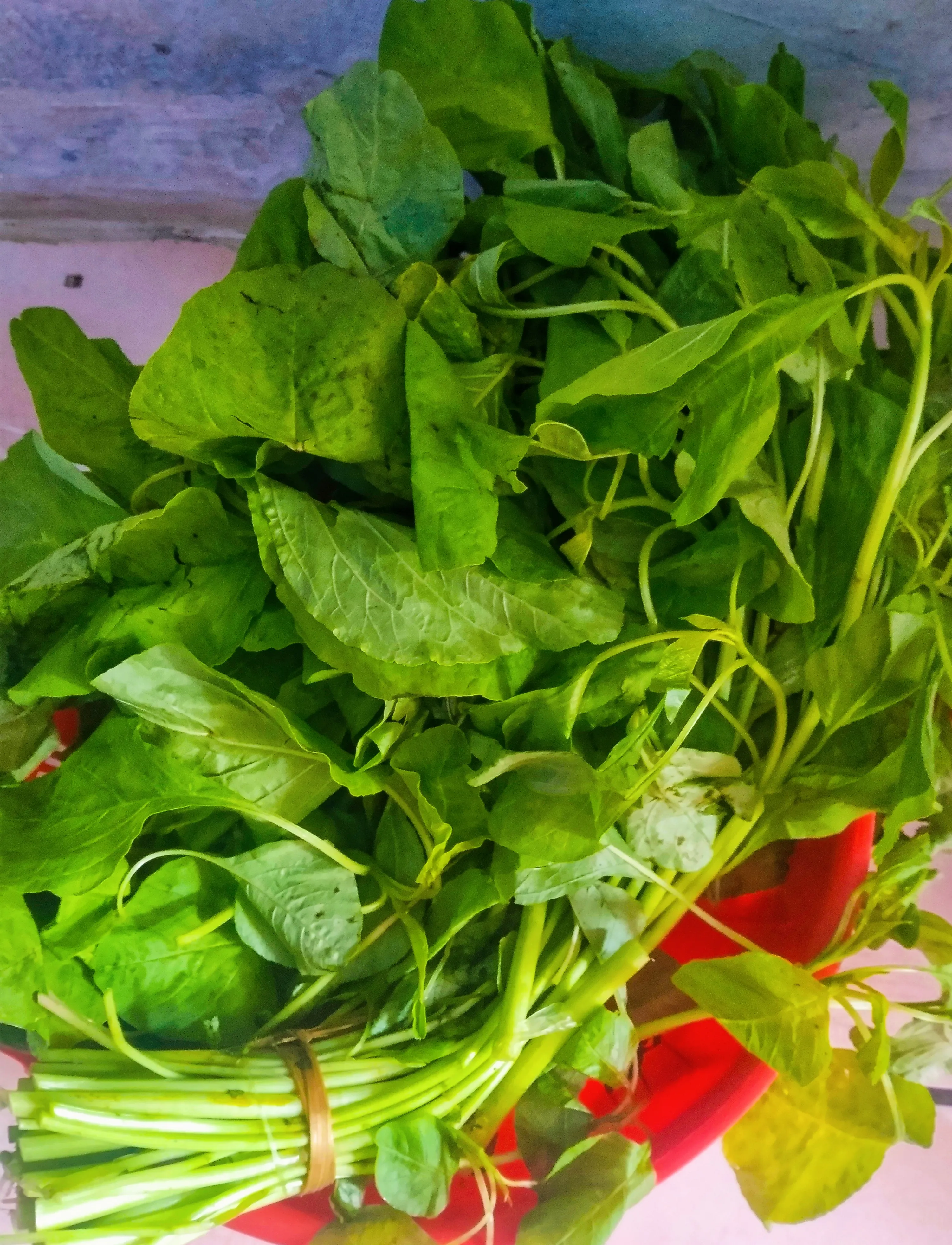 menyimpan sayur bayam di kulkas agar  tidak  layu dan menghitam.
