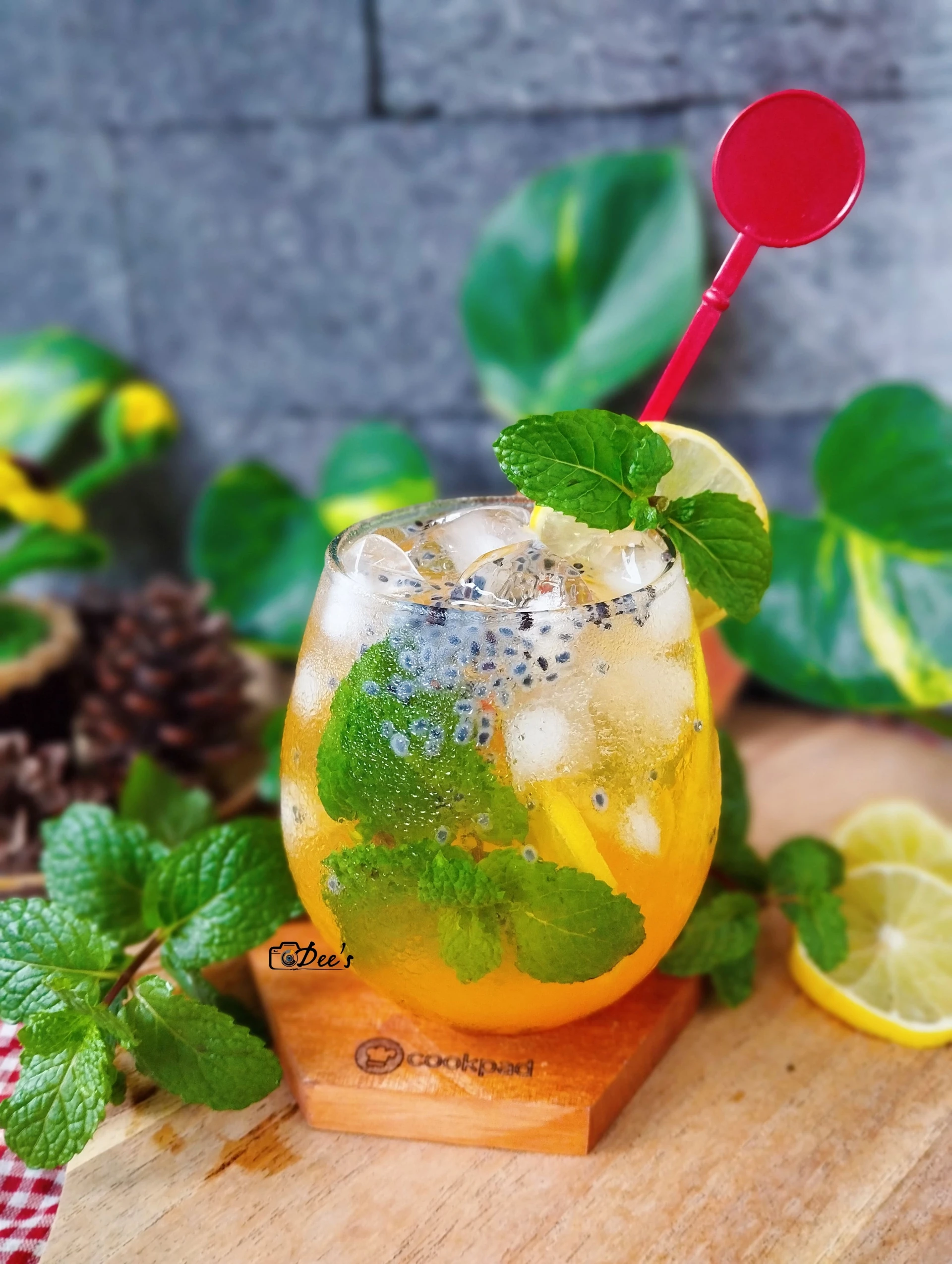Minuman Segar Pereda Haus