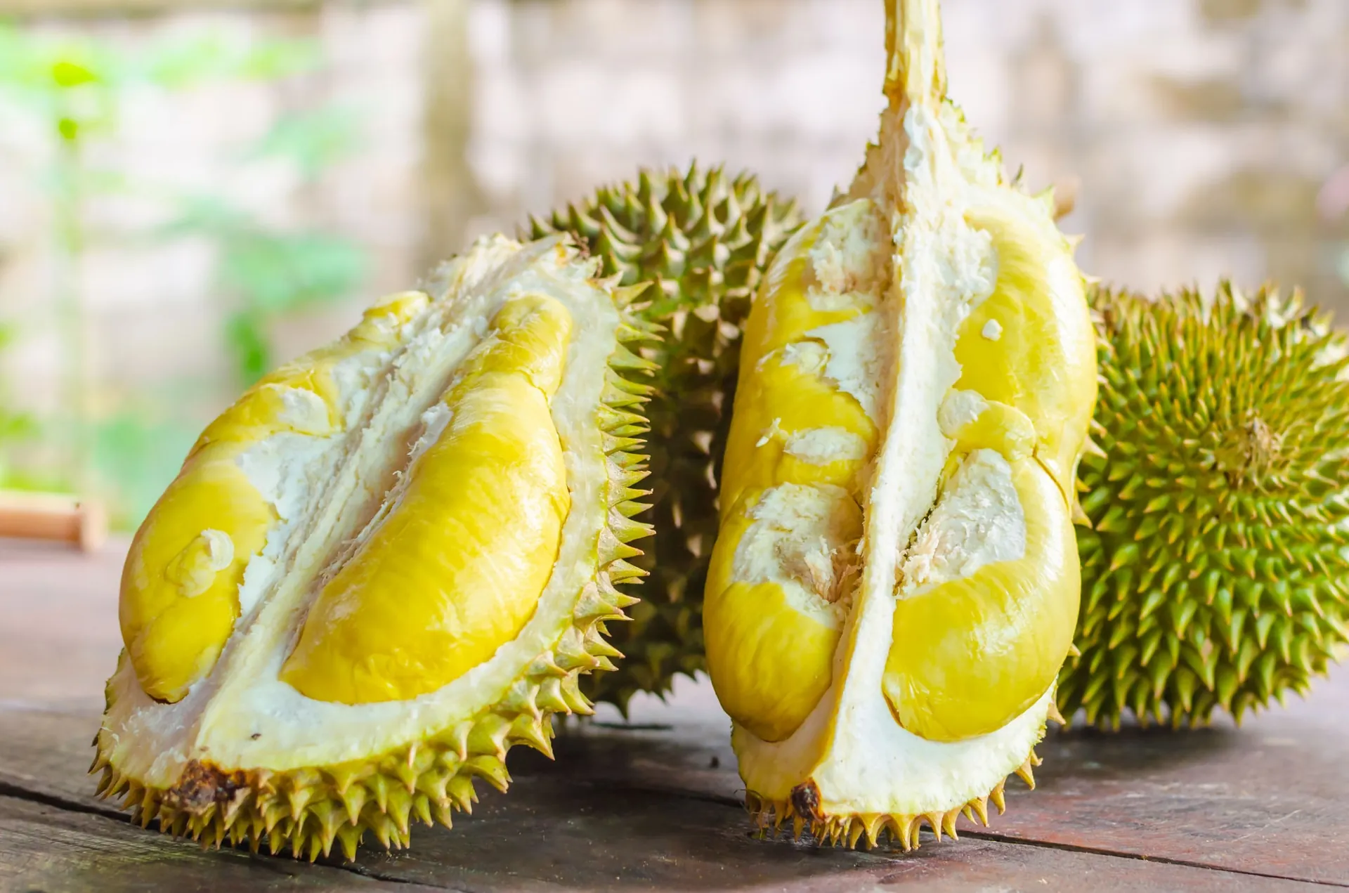 Mitos Atau Fakta ?