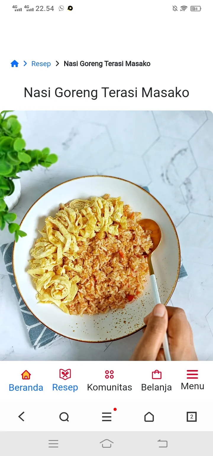 Nasi goreng terasi masako