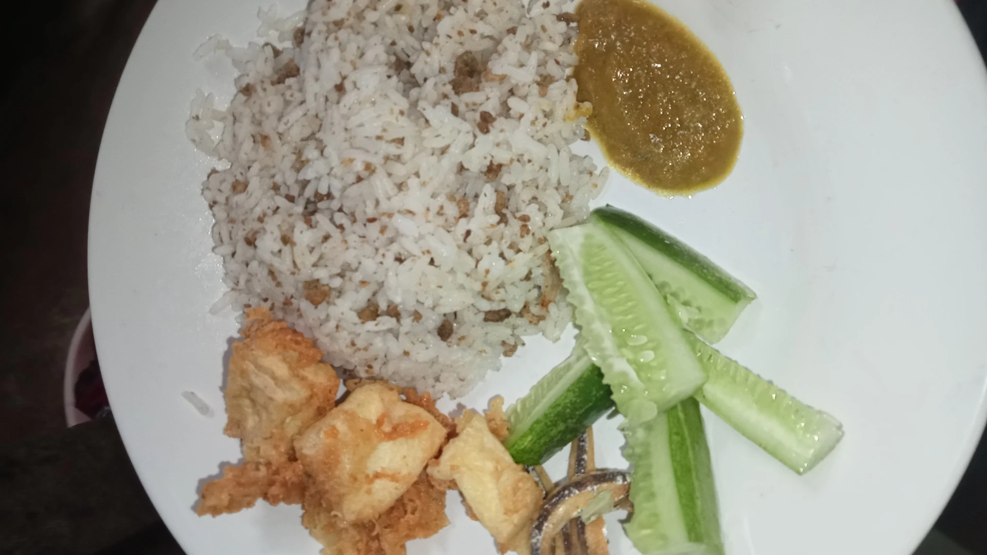 Nasi tutug oncom