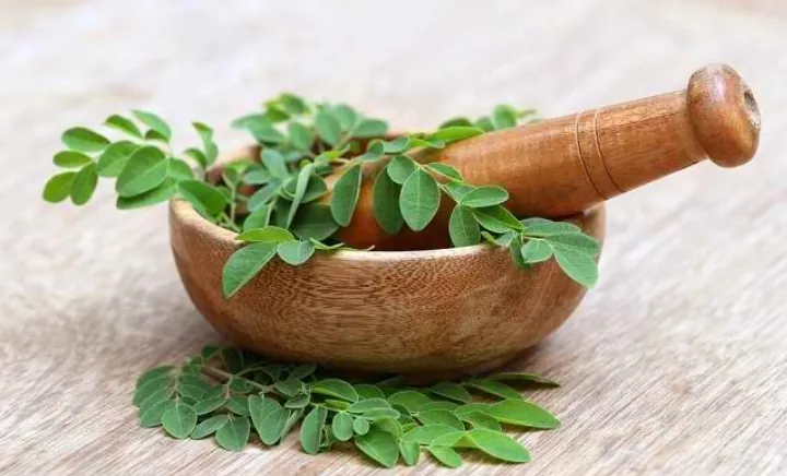Nutrisi Daun Kelor