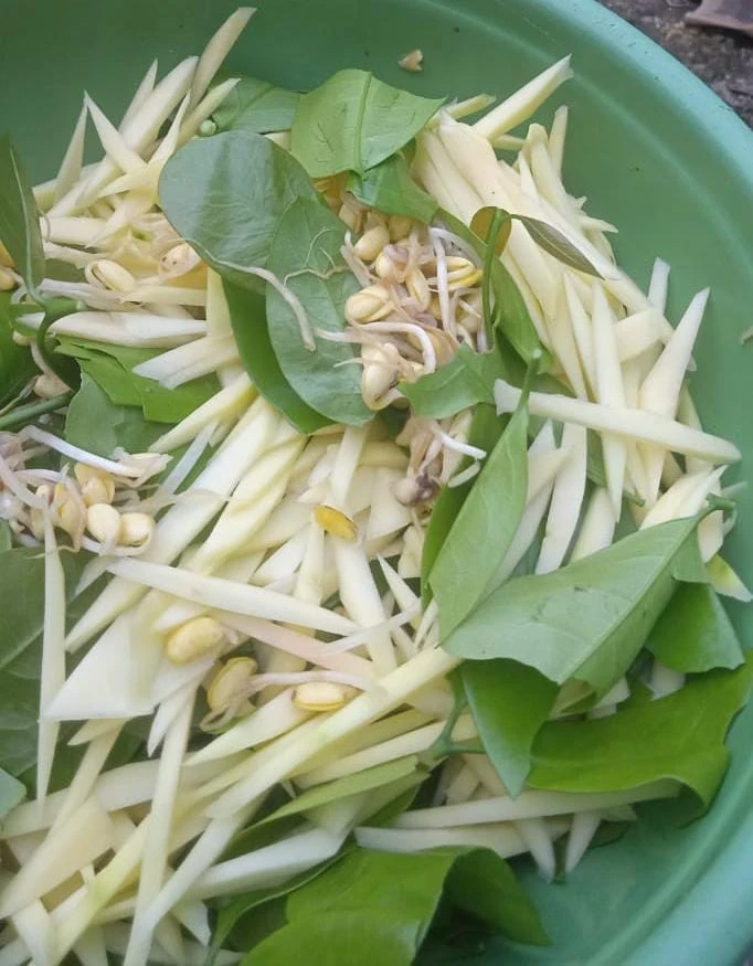 Olahan hasil kebun