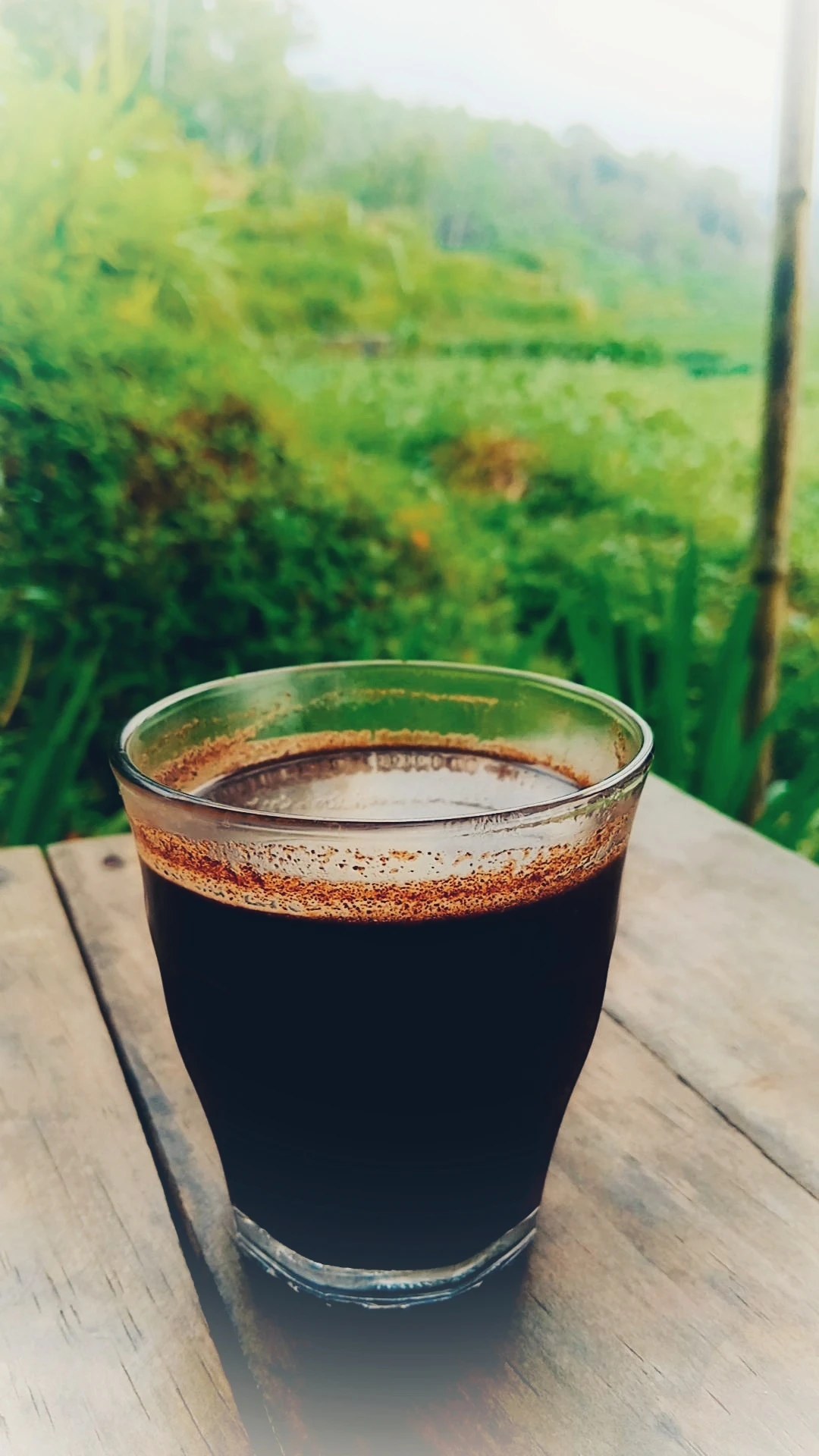 Pecinta kopi
