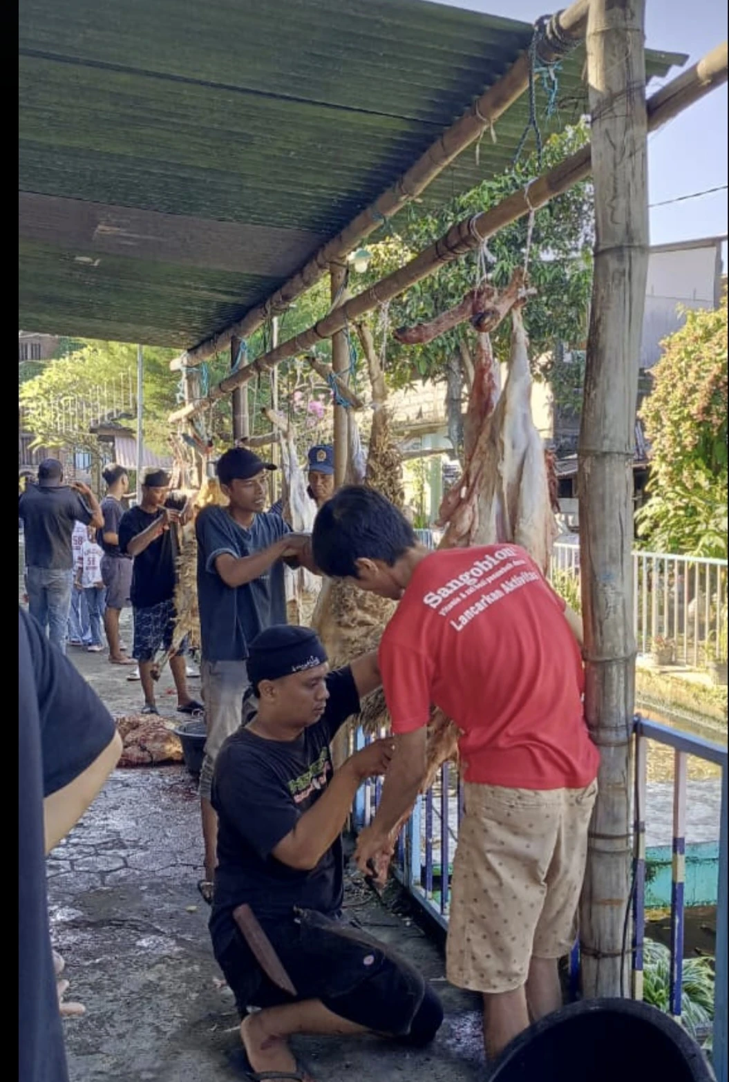 Pembagian Daging Kurban Menurut Syariat Islam