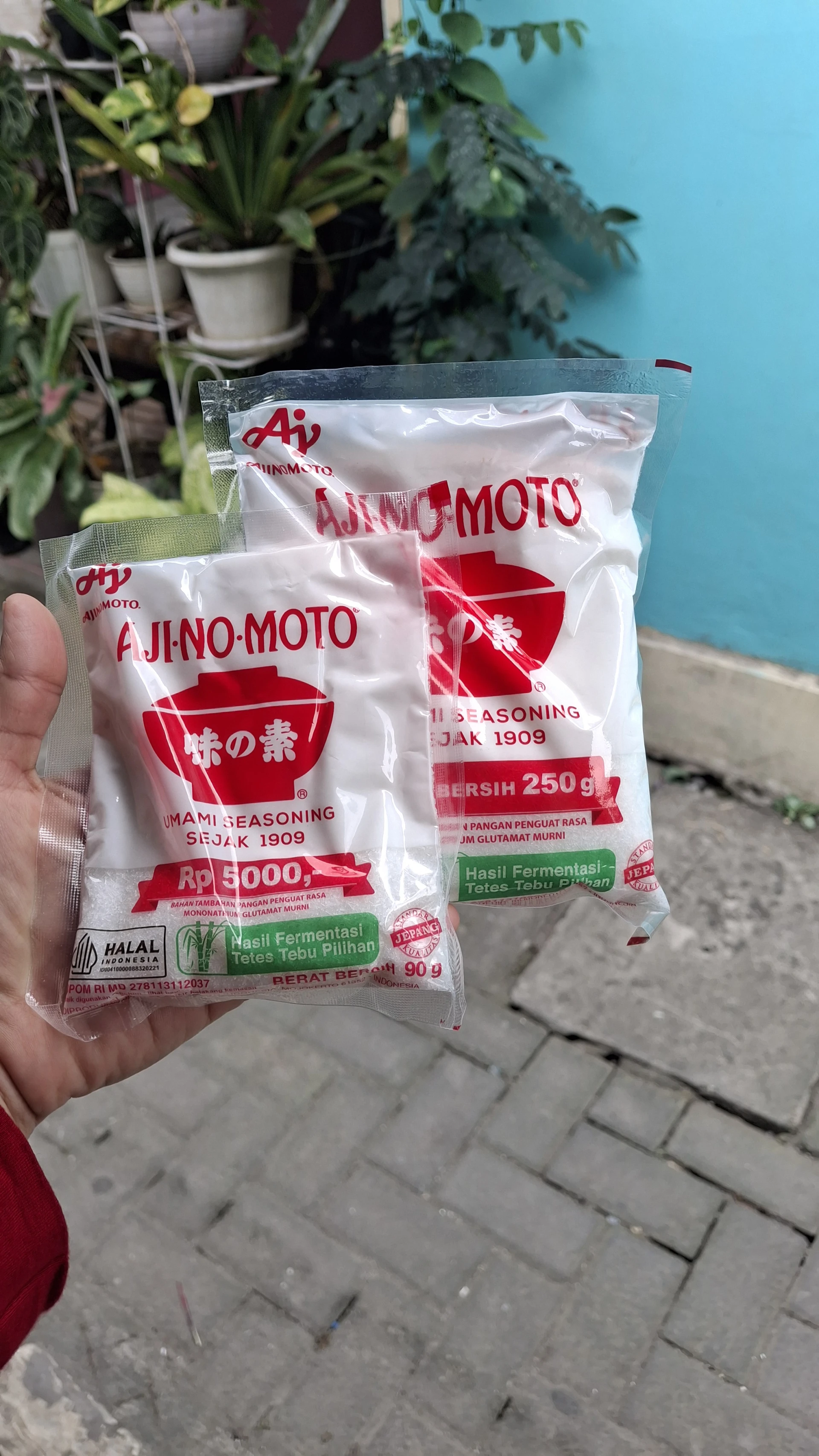 Penyedap Rasa Istimewa