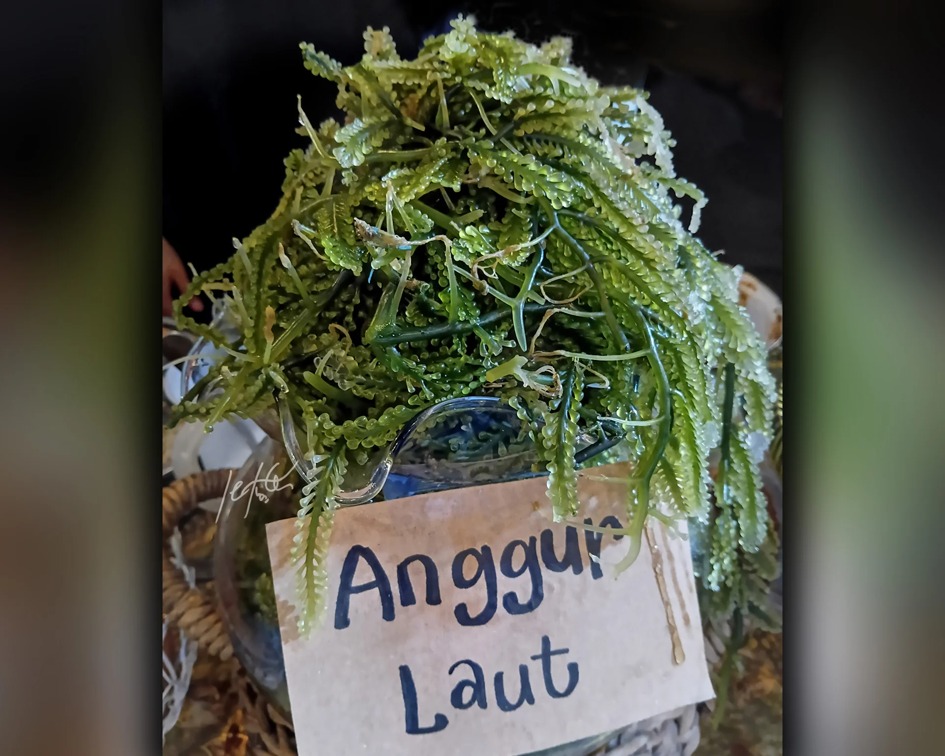 PERGI KE EVENT PASAR KANGEN DEMI LATOH #KegiatanFavorit