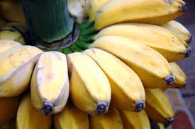 Pisang