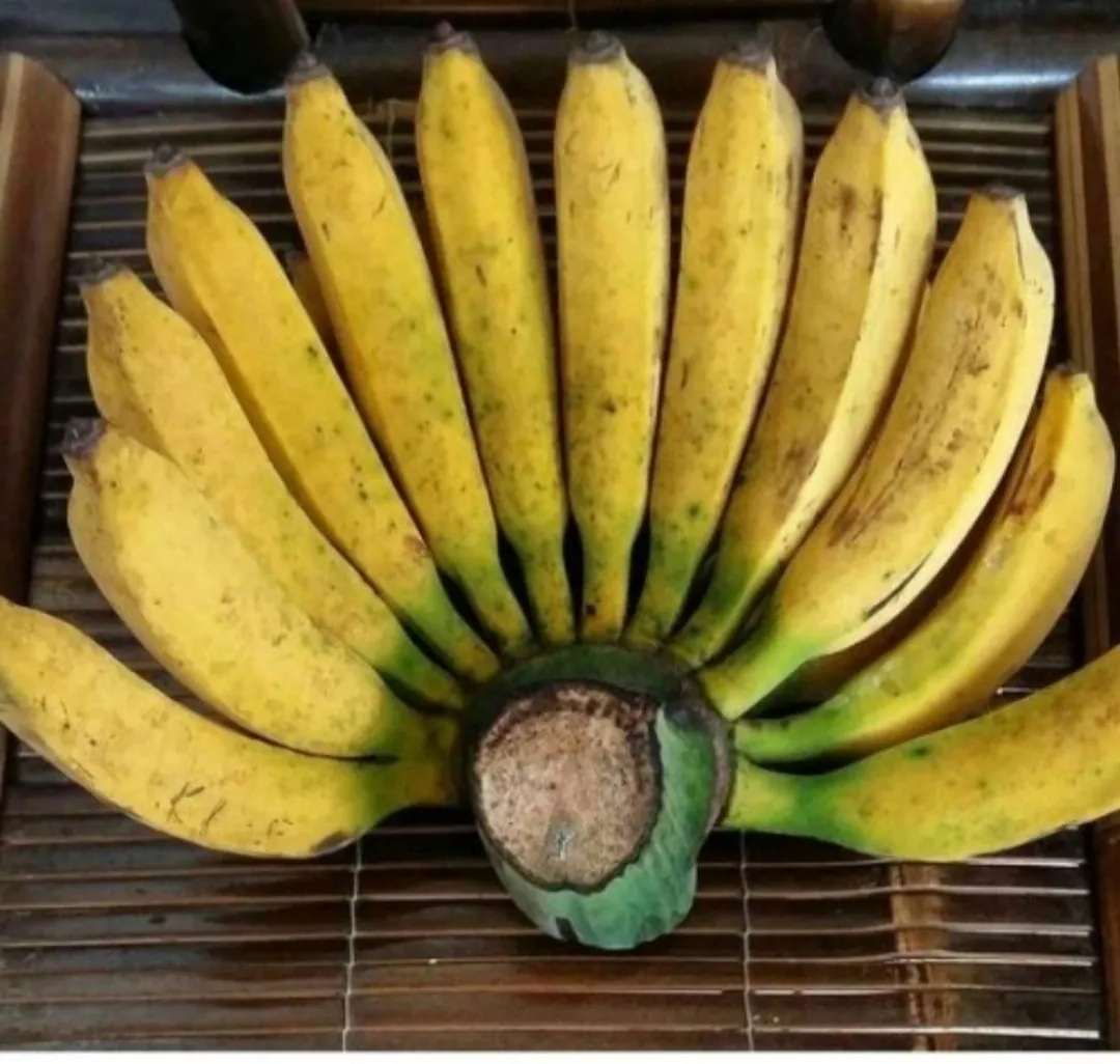 Pisang Raja