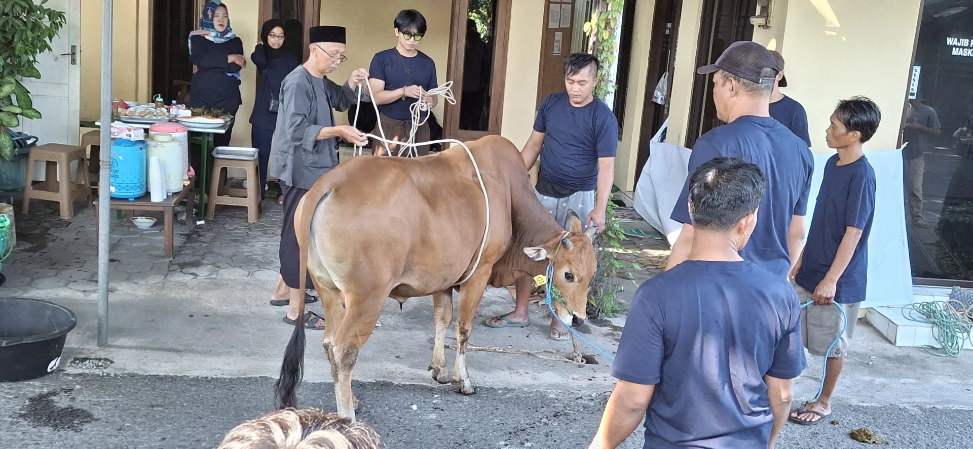 Proses Penyembelehan Hewan Kurban